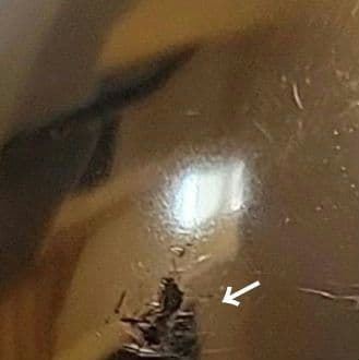 ノリタケ　クリアライト加工　ティーポット【5人用】