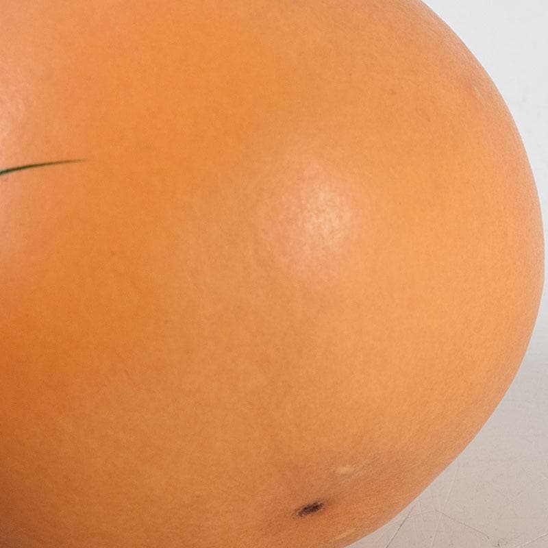 茶道具　北村葵春作　瓢箪　螺鈿装飾　螢蒔絵　茶器　共箱　V　9095