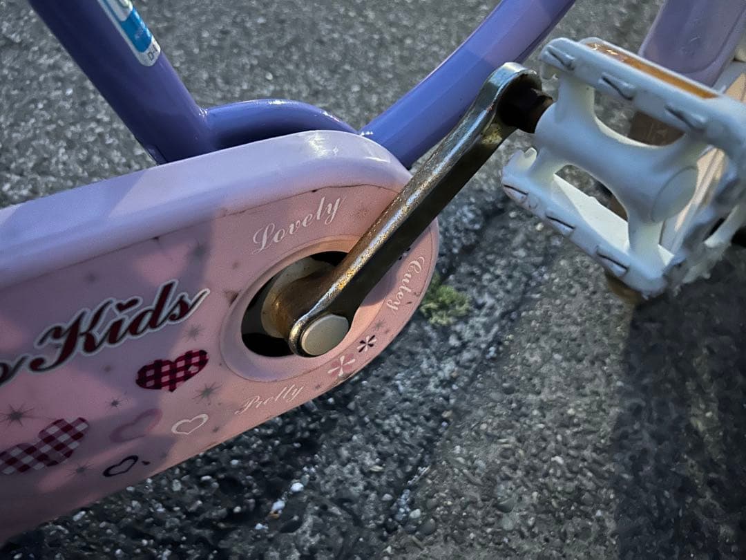 18型 子供用自転車 エコキッズ カラフル(ラベンダー＆ピンク)EKC18
