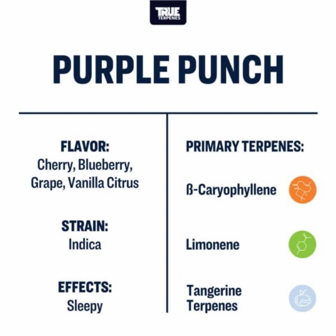 【大容量】TRUE TERPENES Purple Punch 30mL