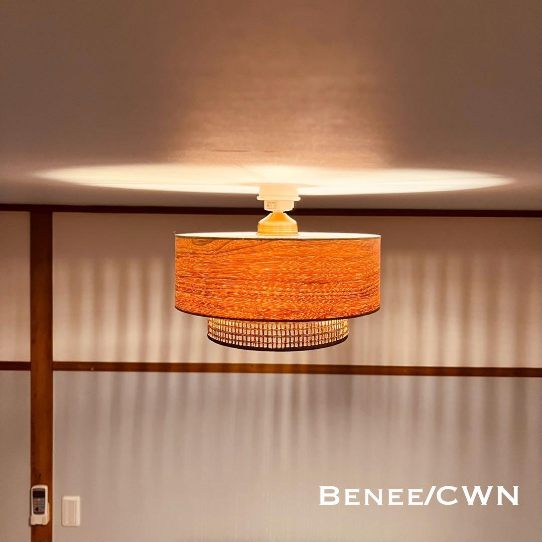 天井照明 シーリングライト Benee/CWN E26 LED レトロ 北欧