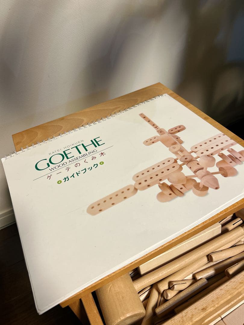 【T.tokyoさま専用】家庭保育園「ゲーテのくみ木」セット