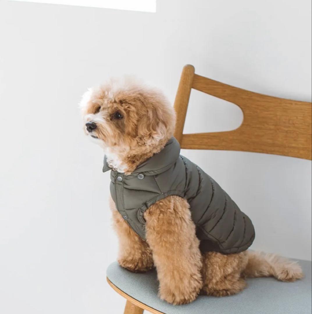 free stitch ダックダウンジャケット カーキ M