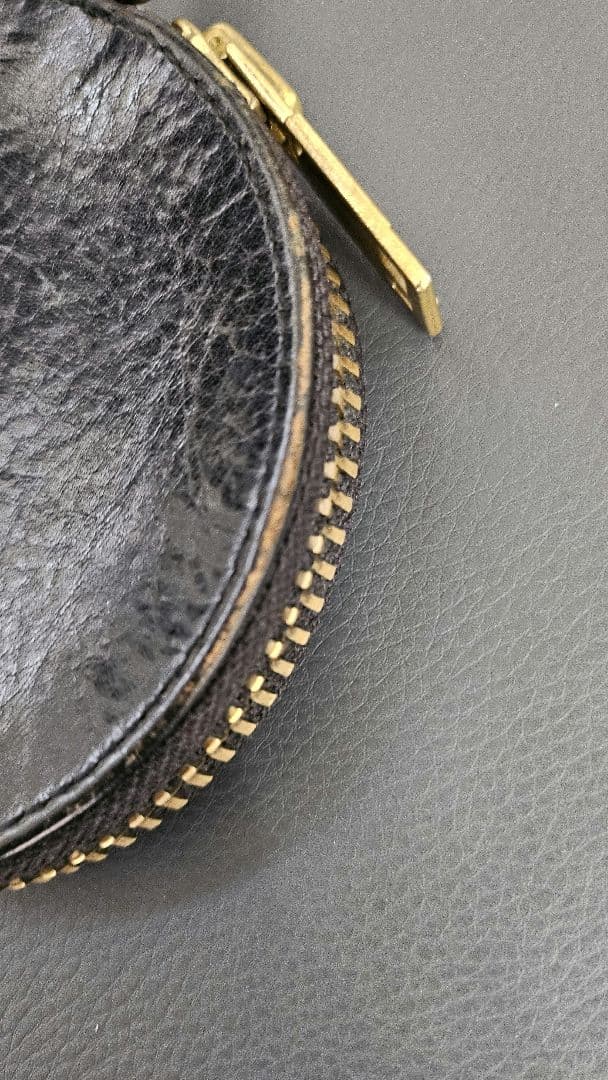 がんちゃん用　ブラックミーンズ　フウドブレイン　ケース