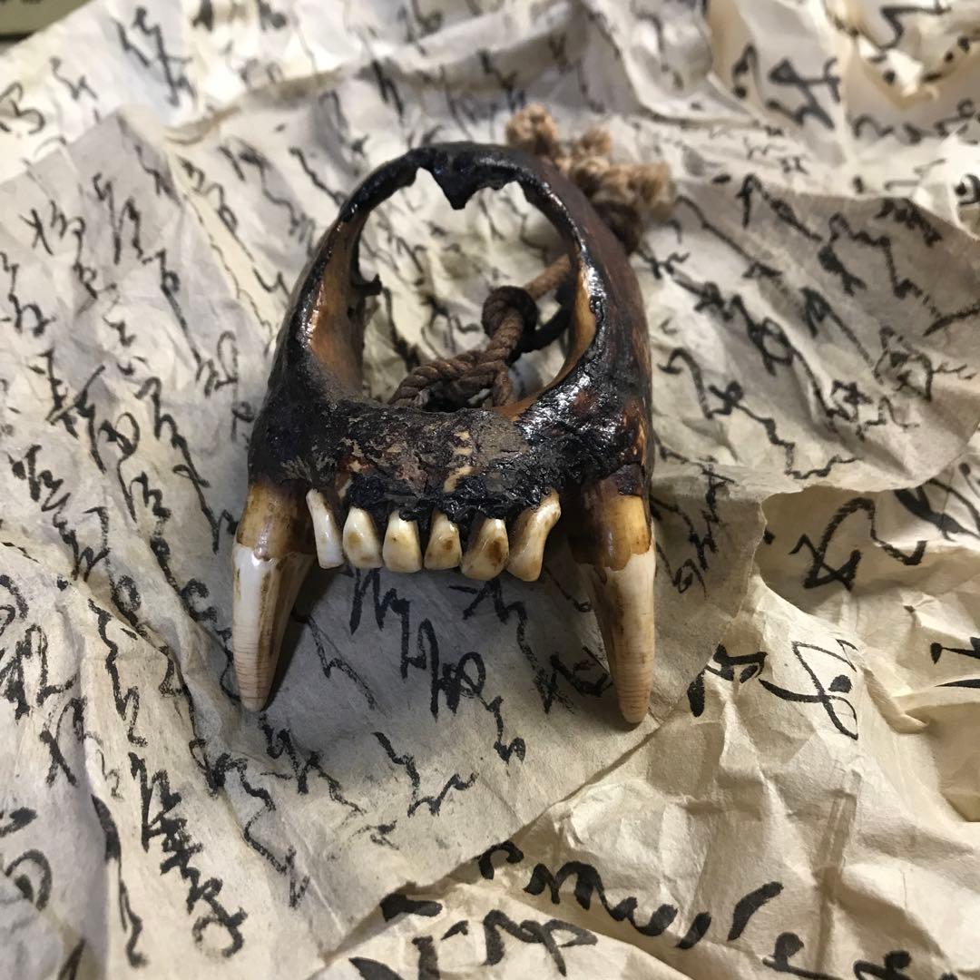 獣牙　根付　呪物　ニホンオオカミ　熊