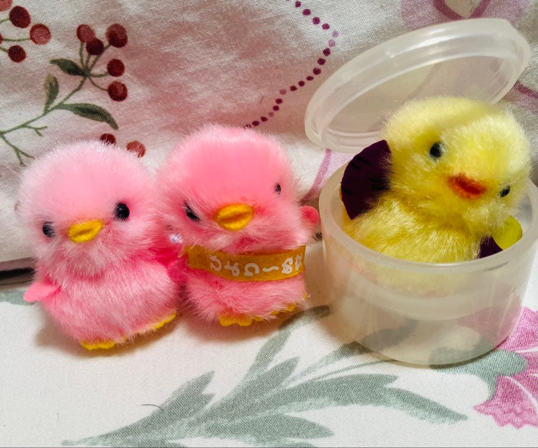 コーチ　リビーウォッチ26M ピンク