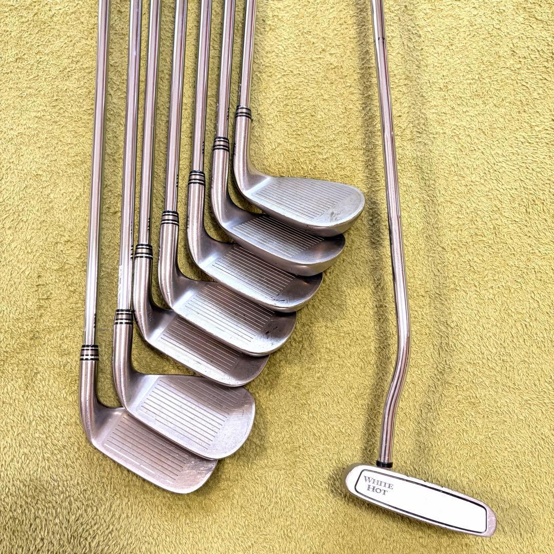 希少　レフティ　ゼクシオ　XXIO10 ゴルフクラブ　フルセット　12本　メンズ