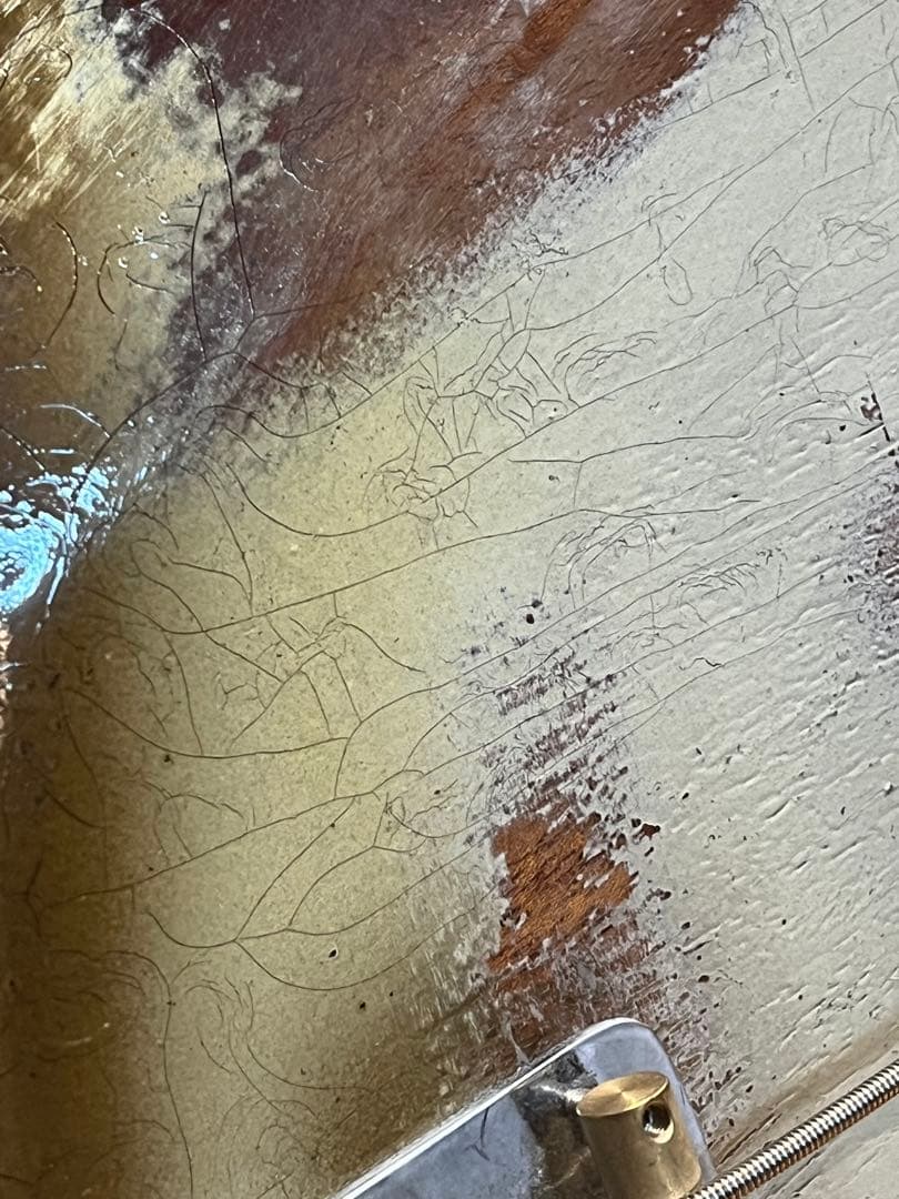 ベース DeliciousTaylormade ANTIGUA Bird JM