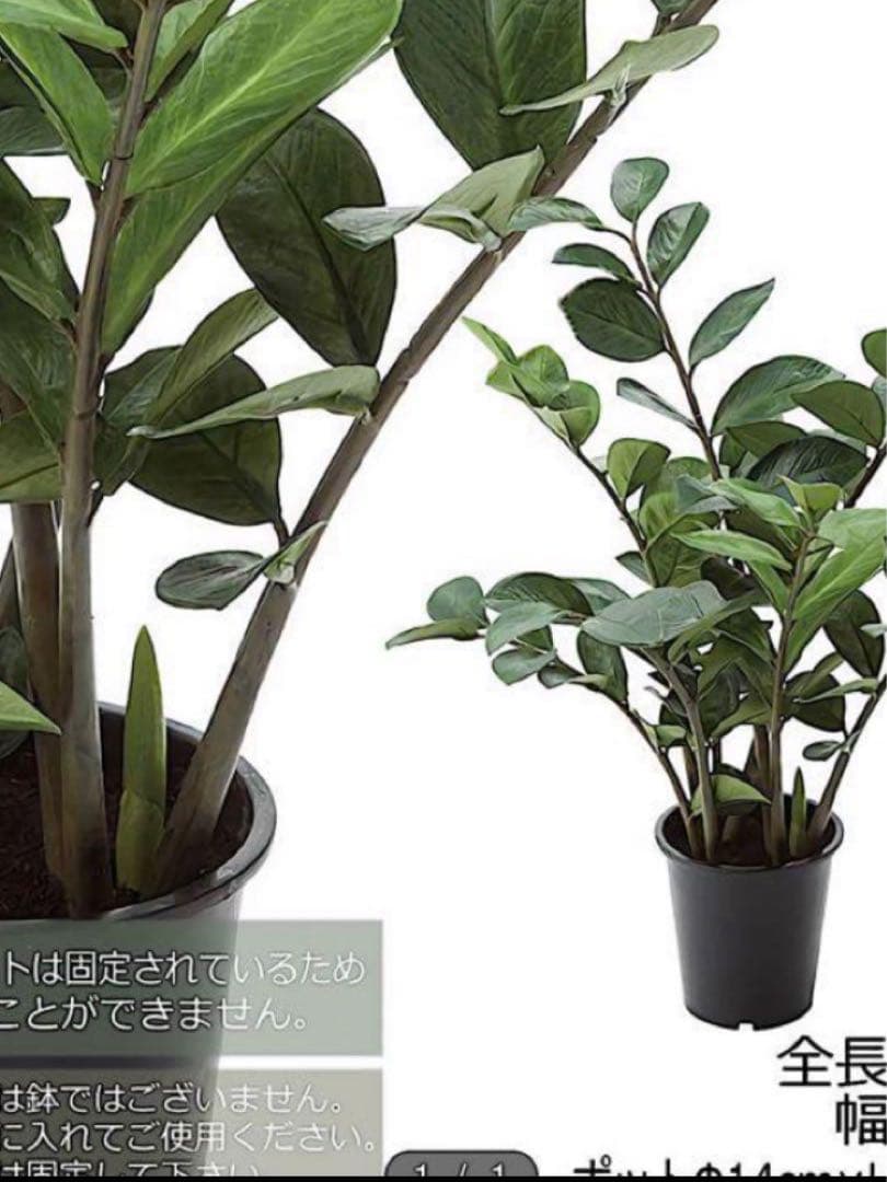 光触媒　人工観葉植物　ウォールグリーン　フェイクグリーン　ザミフォリアg