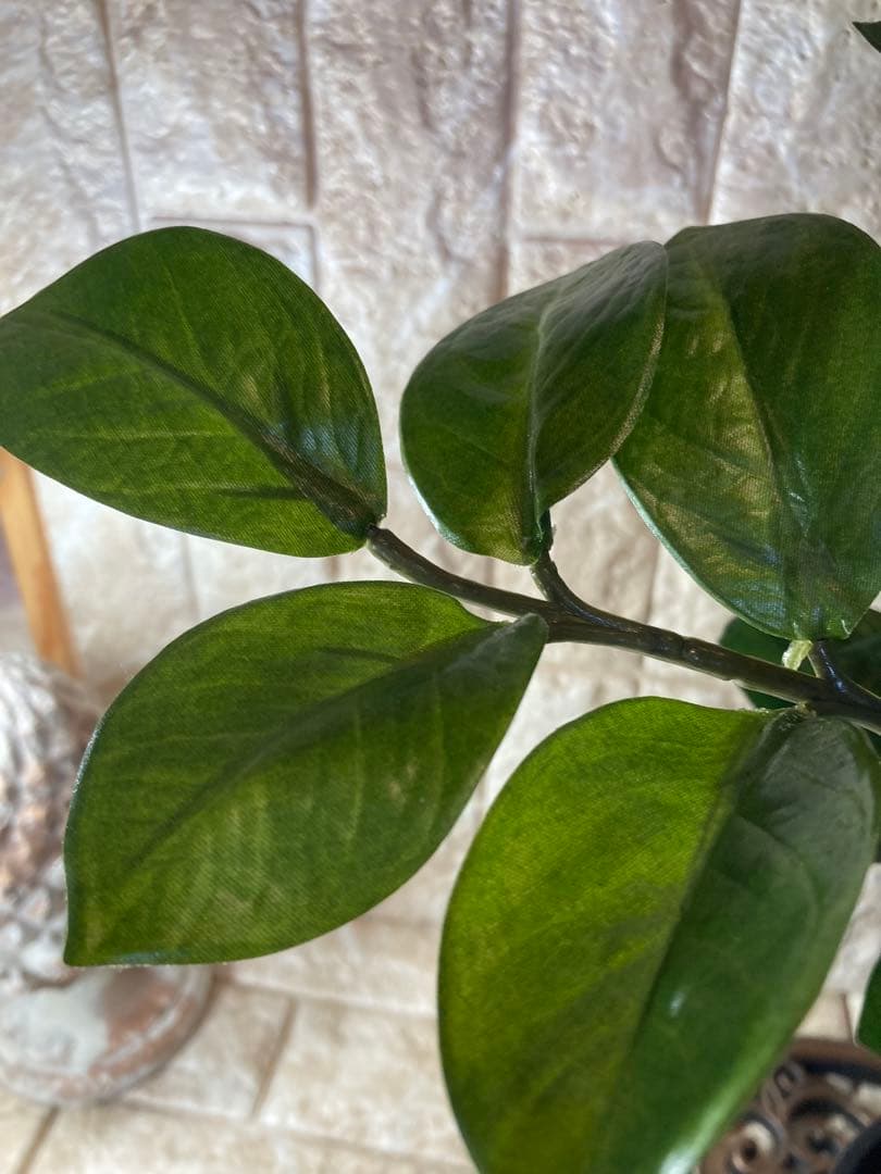 光触媒　人工観葉植物　ウォールグリーン　フェイクグリーン　ザミフォリアg