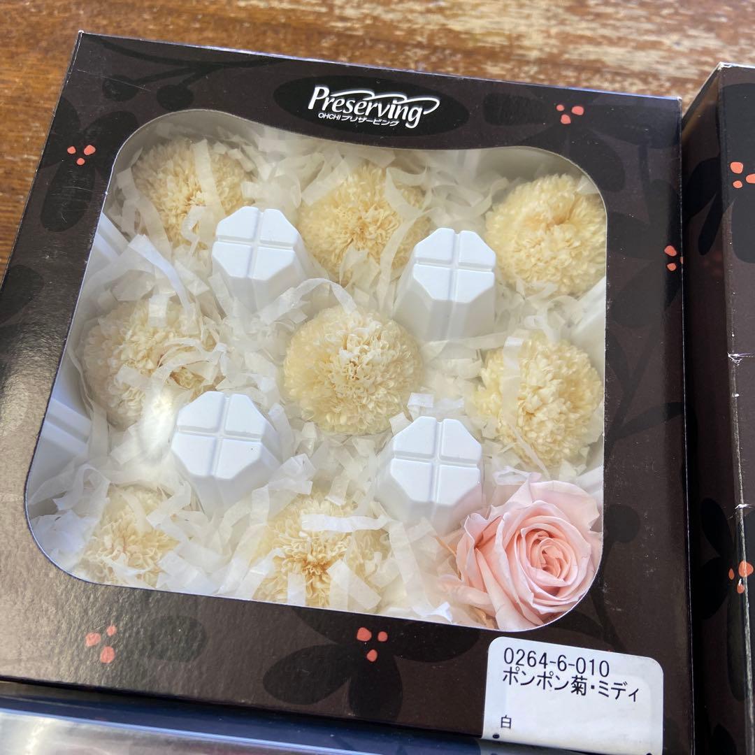 【処分特価】プリザーブドフラワー　セット　大地農園　パープル　ピンク系　あじさい