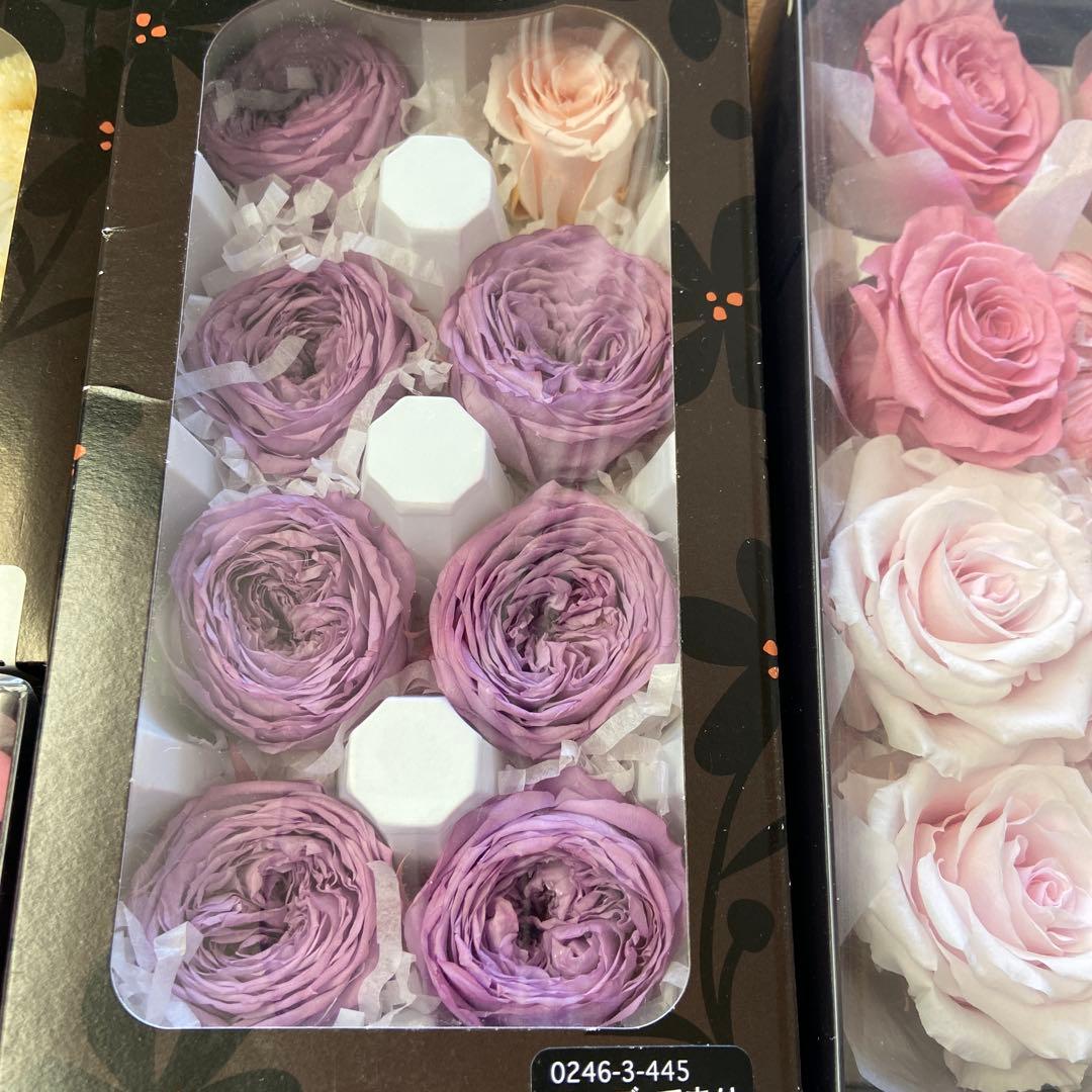 【処分特価】プリザーブドフラワー　セット　大地農園　パープル　ピンク系　あじさい