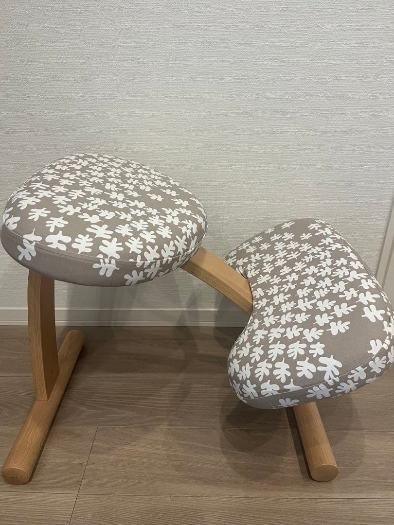 【取説つき】バランスイージー Balans Easy｜バランスラボ正規品