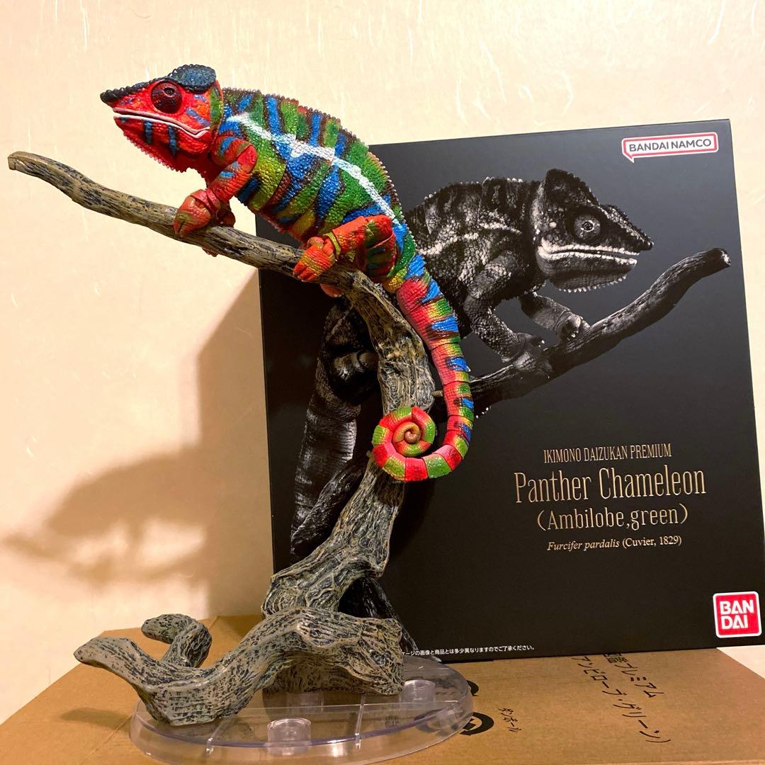 いきもの大図鑑プレミアム　パンサーカメレオン（アンビローブ・グリーン）