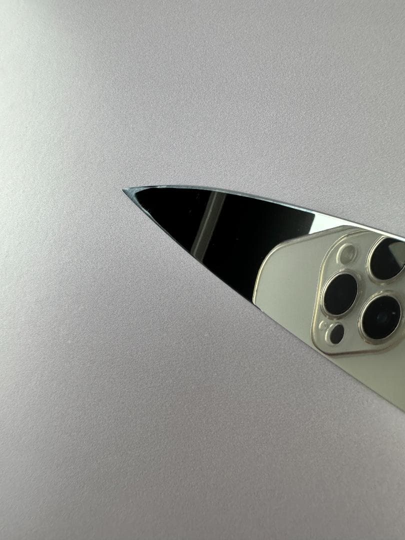 5571 身卸し包丁 9寸 ウルトラ鏡面仕上げ 刺身包丁 黒檀黒水牛角八角柄