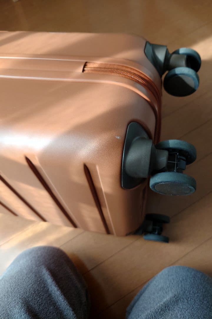 【1回使用品】スーツケースキャリーバッグ ACE 小型サイズ S 29L