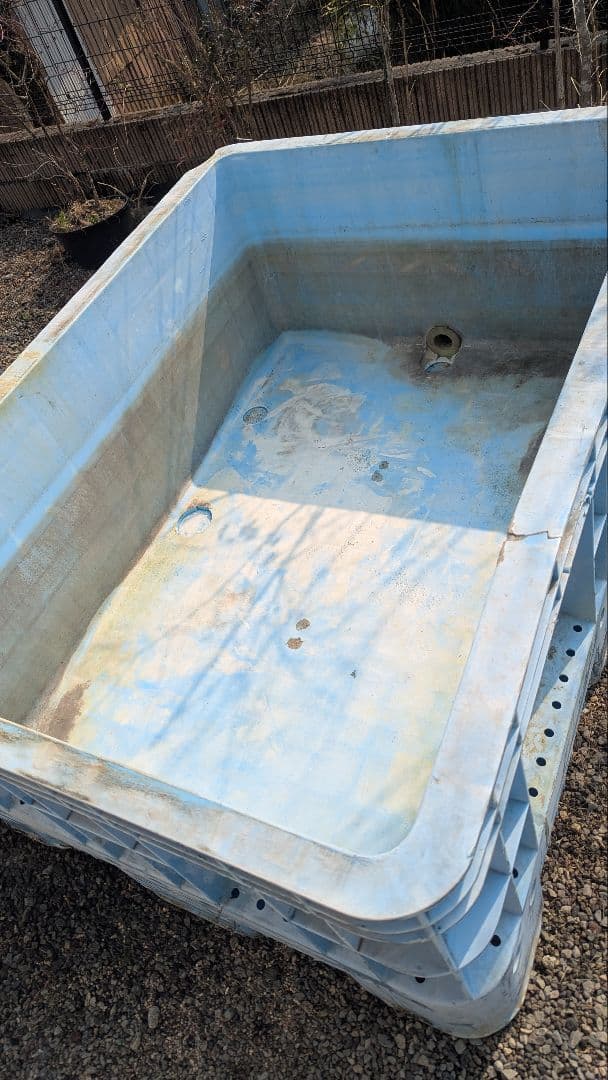 中古大型プラスチック水槽 コンテナ水槽 錦鯉 金魚