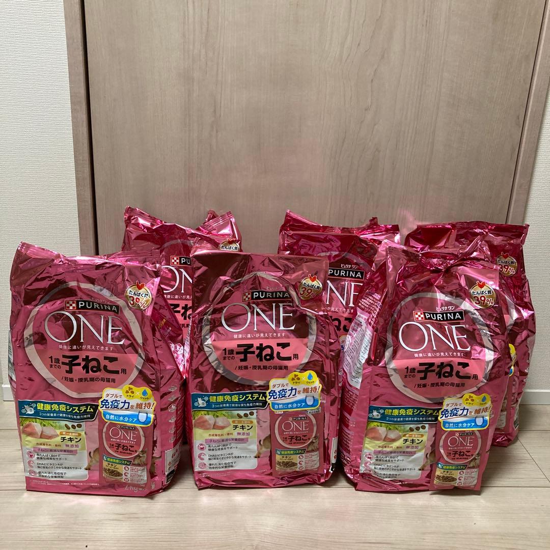 PURINA ONE 子ねこ用チキン　2kg×6袋セット