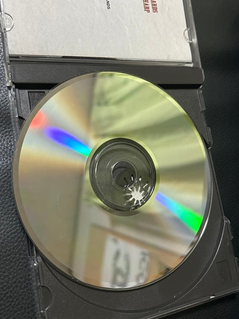 CDバッドランズ　2枚セット　ジェイクＥリー　帯付き正規品