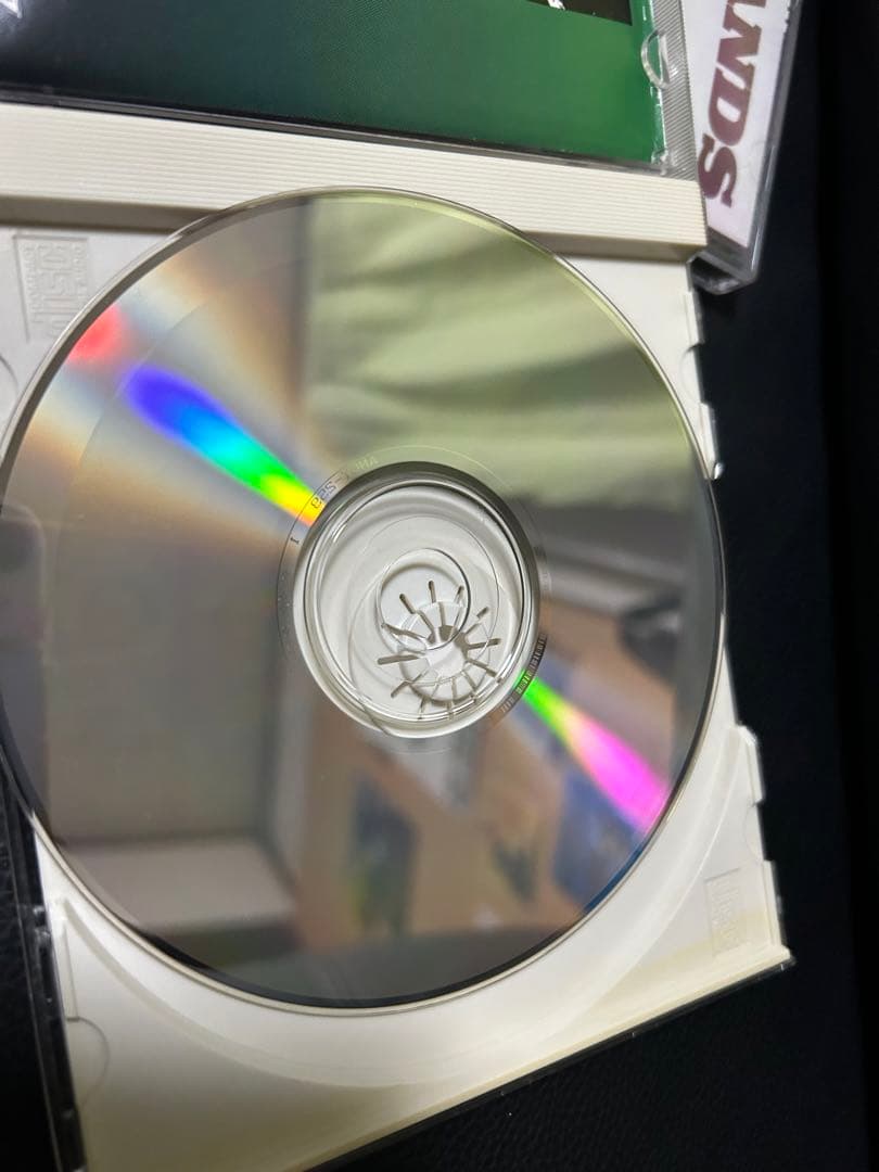 CDバッドランズ　2枚セット　ジェイクＥリー　帯付き正規品