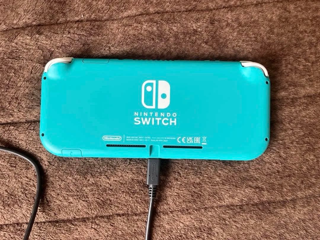 Nintendo Switch Lite ターコイズ 本体のみ 動作確認済