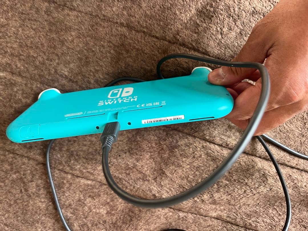 Nintendo Switch Lite ターコイズ 本体のみ 動作確認済