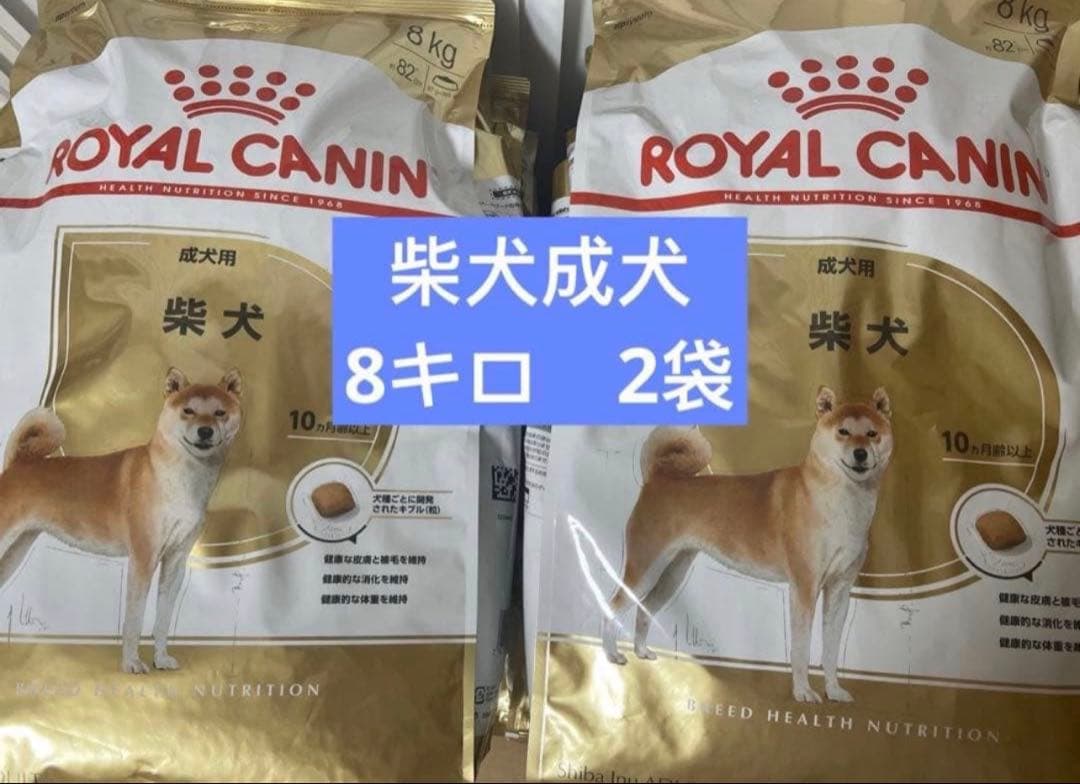  CANIN 柴犬用 ドライフード 8kgX2
