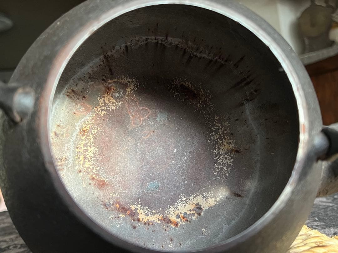 南部鉄瓶　釜定　秋の実　肌　鉄瓶