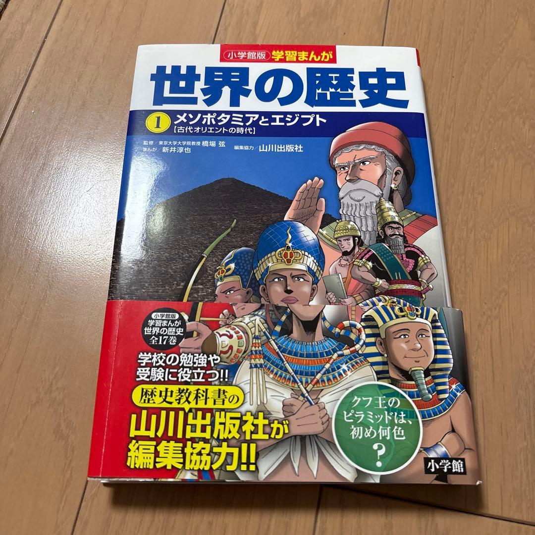 世界の歴史17巻セット小学館