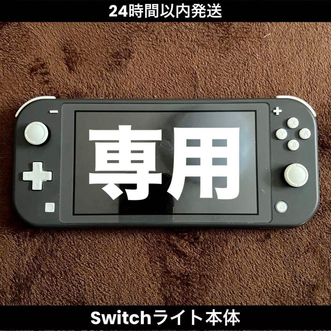 Switch Lite ライト 本体 黒 動作確認済み