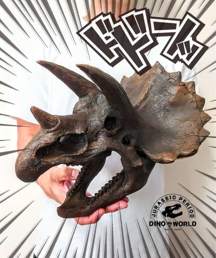 トリケラトプス インテリア オブジェ 雑貨 恐竜の化石 ジュラシックワールド