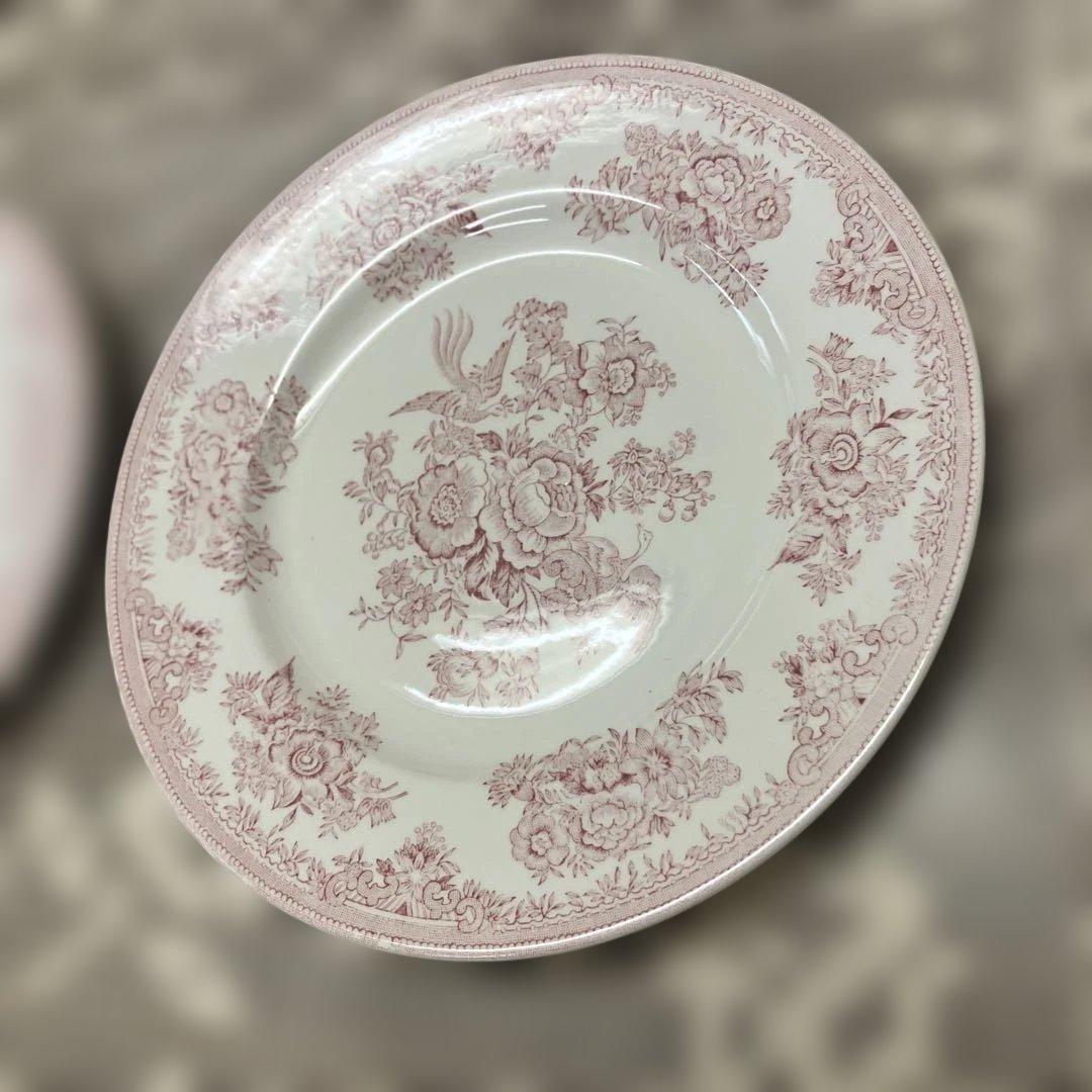 英国バーレイ社 ピンクアジアティックフェザンツ プレート 17.5cm 2枚