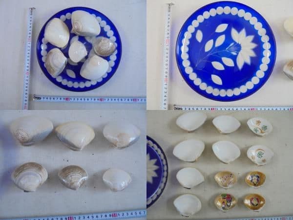 AKa6898　貝殻６個　内絵入り３個　切子　皿　セット
