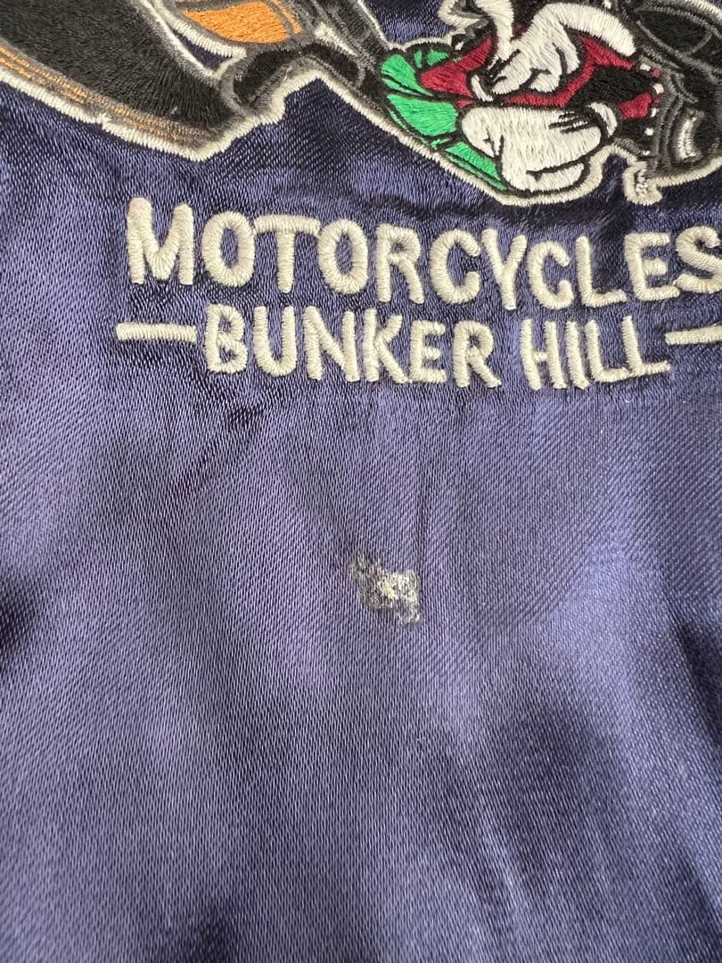 XL VANSON×LOONEY TUNES スカジャン トゥイティー マービン