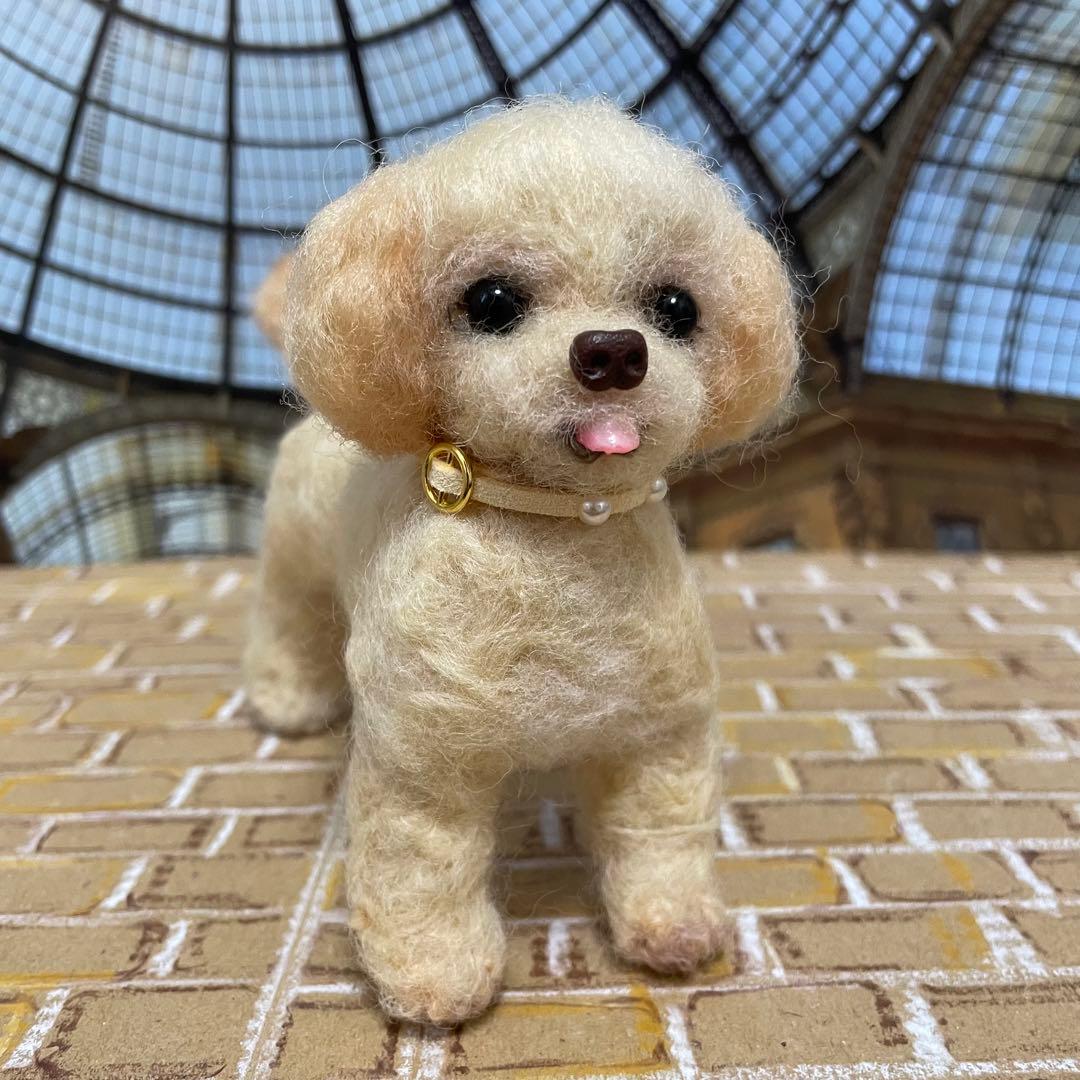 547♥︎マルプー犬の羊毛フェルト❣️