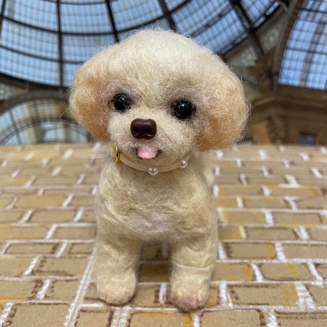 547♥︎マルプー犬の羊毛フェルト❣️