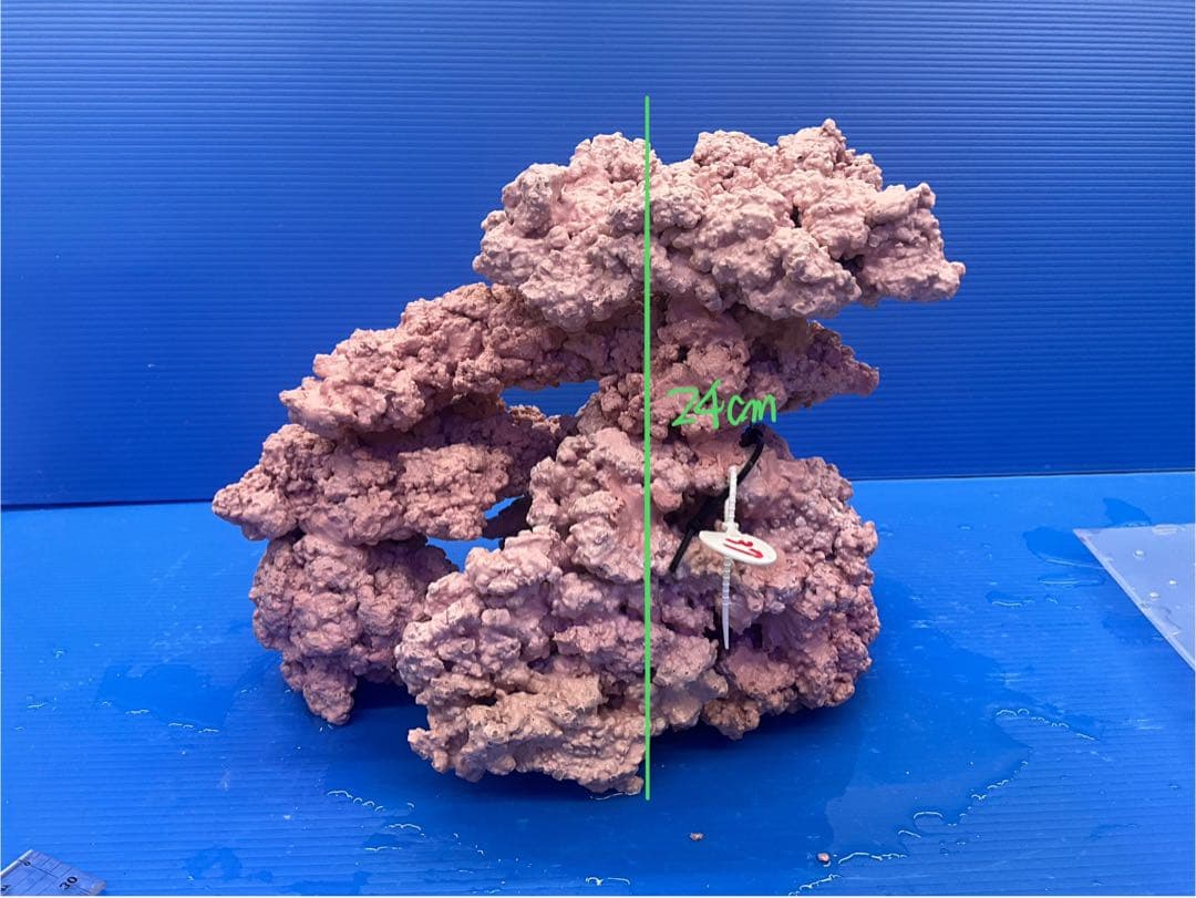 人工ライブロック　No.37. 無害化処理済