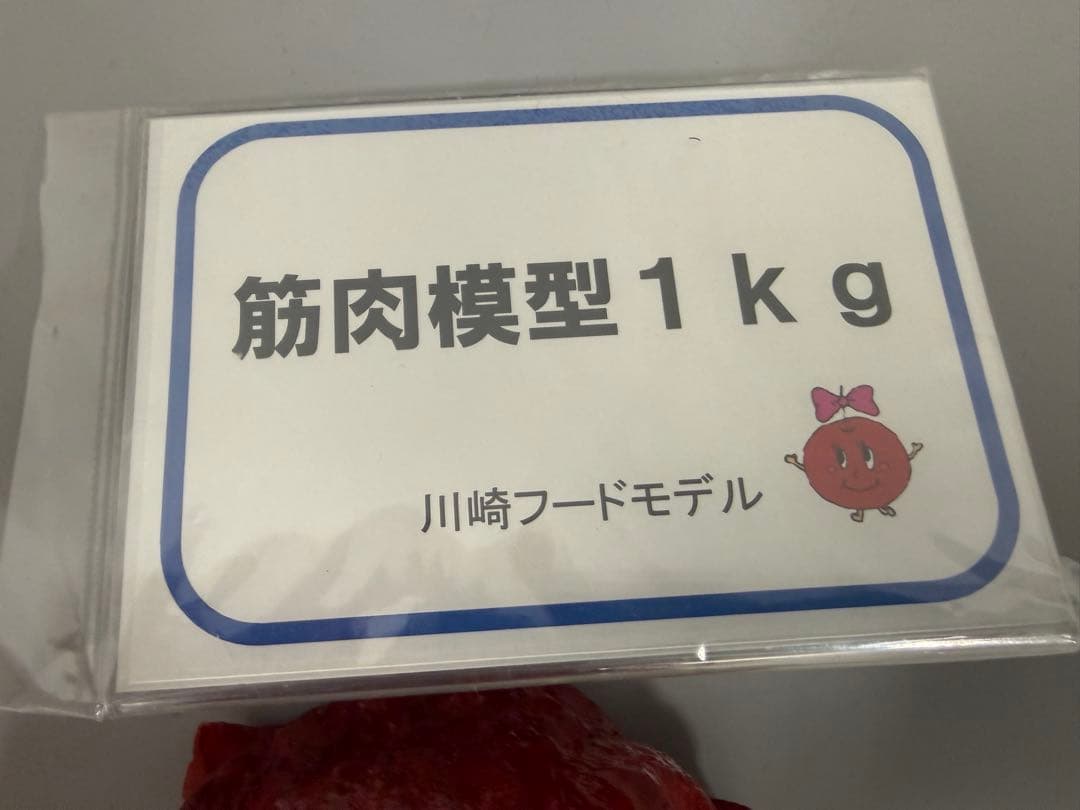 【未使用】川崎フードモデル 脂肪・筋肉模型 1kgセット