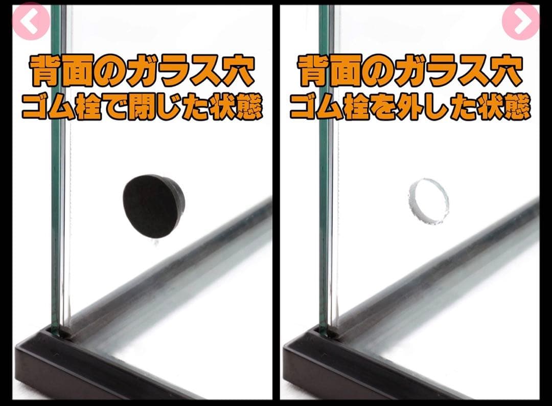 タロー出品　新品未使用！未開封！レインフォレストタンク L Low30