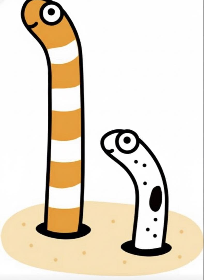 wataruさま　確認用です