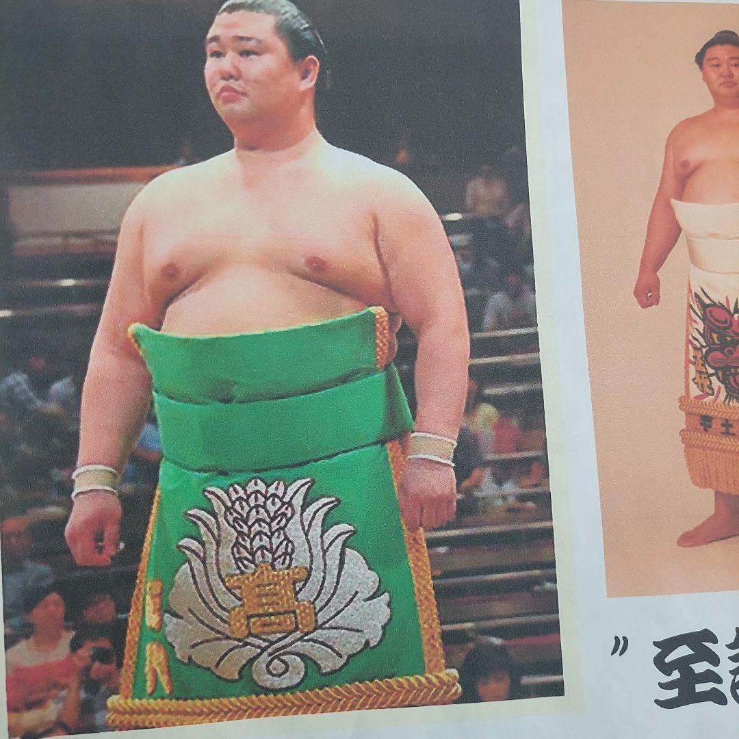 米焼酎 相撲 大関 正代 至誠一貫 しせいいっかん 酒 焼酎 限定品