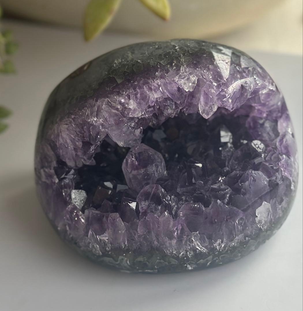 アメジスト がま口ドーム