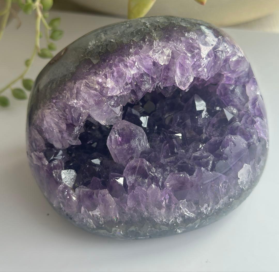 アメジスト がま口ドーム