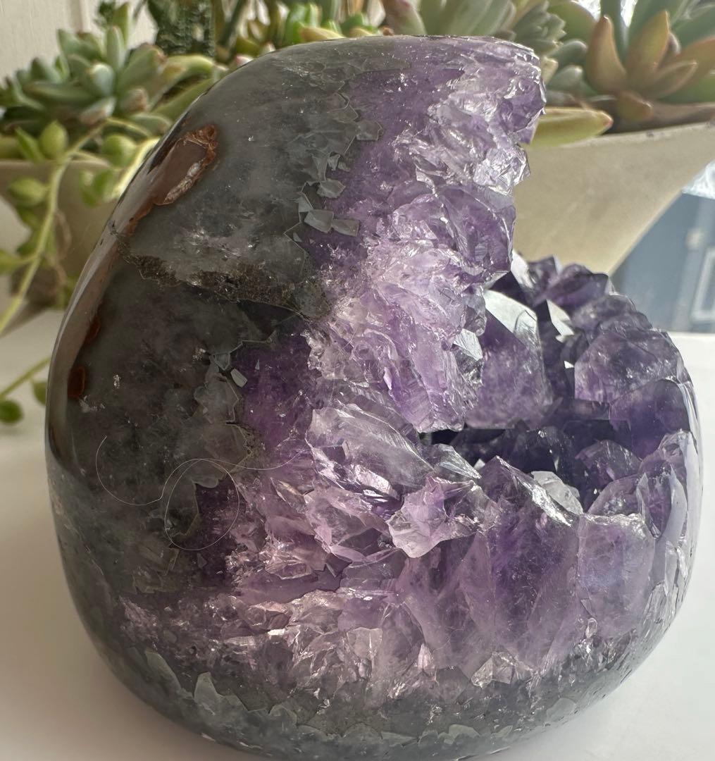 アメジスト がま口ドーム