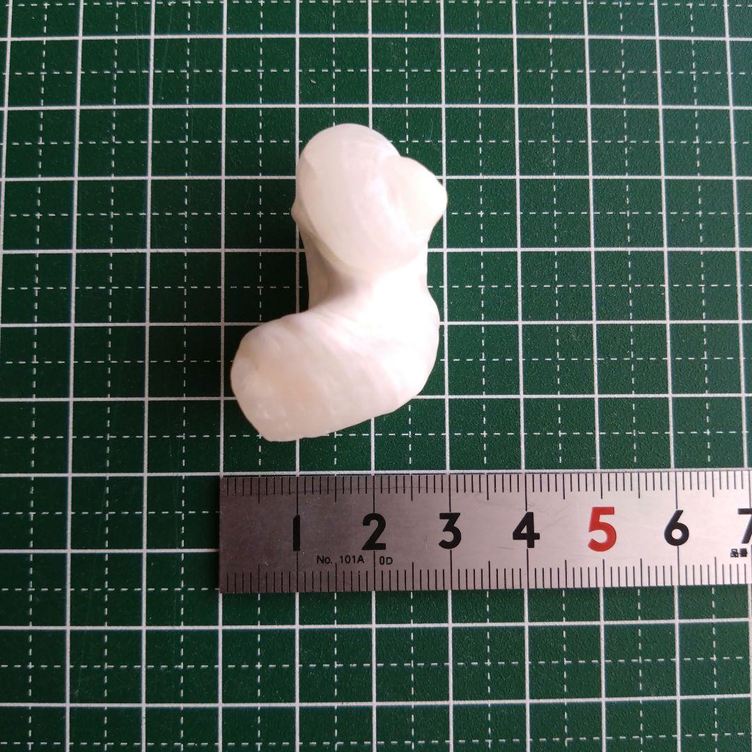 【希少】優美なお姿☆ ケオン パワーストーン 原石 イシカブラ 貝殻 標本 巻貝