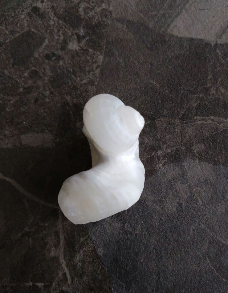 【希少】優美なお姿☆ ケオン パワーストーン 原石 イシカブラ 貝殻 標本 巻貝