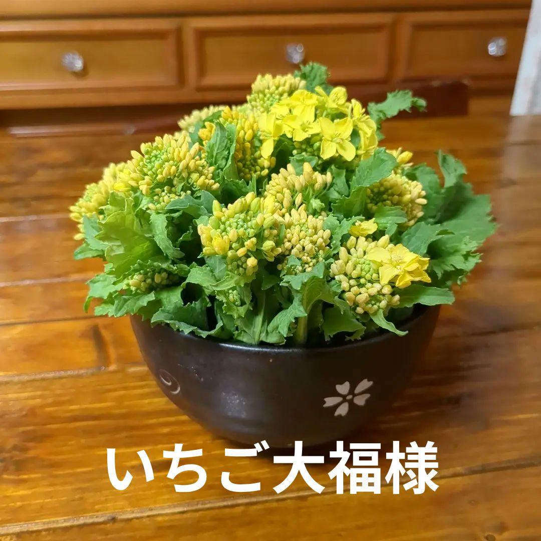 ウェディングドレスお見積り