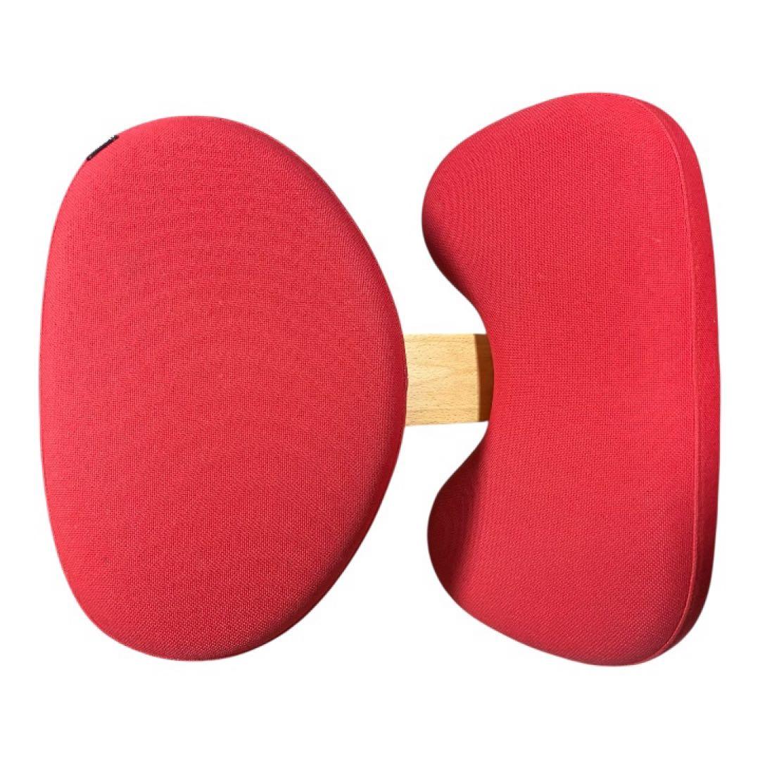 バランスラボ バランスチェア バランスイージー レッド サカモトハウス　日本製