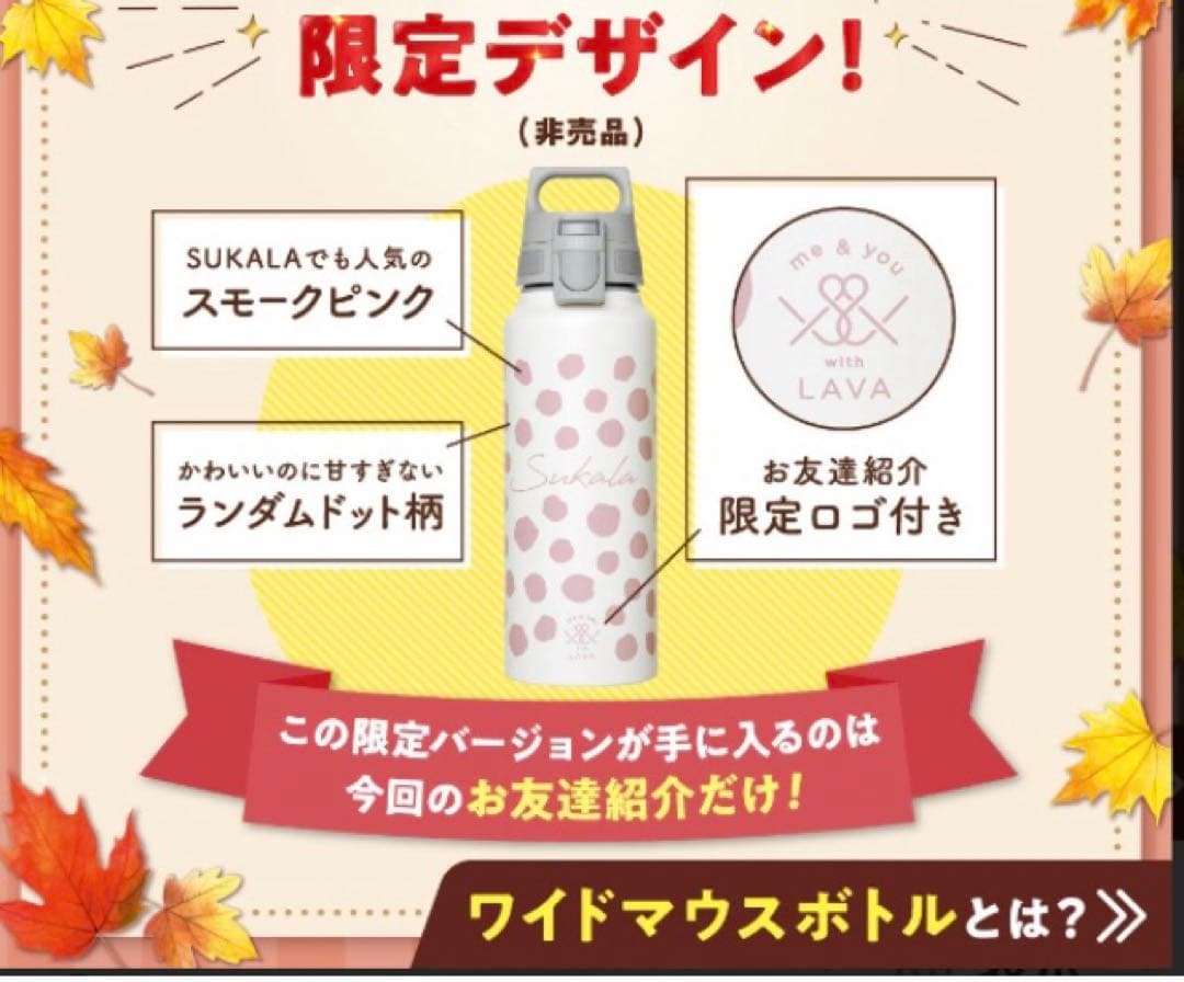 新品未使用 ラバ ヨガ 非売品 ワイドマウスボトル LAVA 水筒 SUKALA