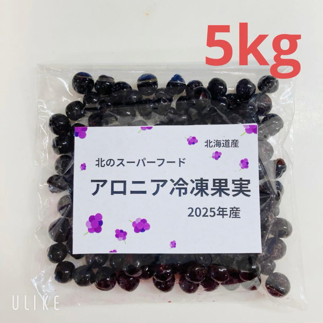 北海道産アロニア冷凍果実 5kg